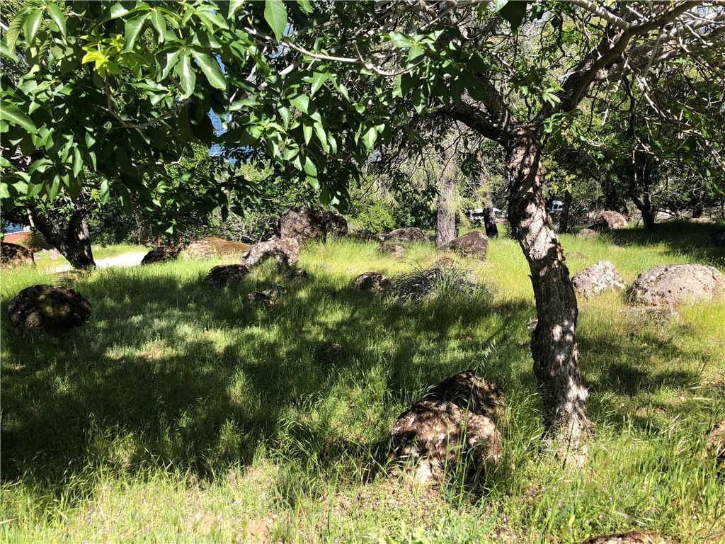 13616 Anderson Road Lower Lake, CA 95457 - Photo 4 of 7