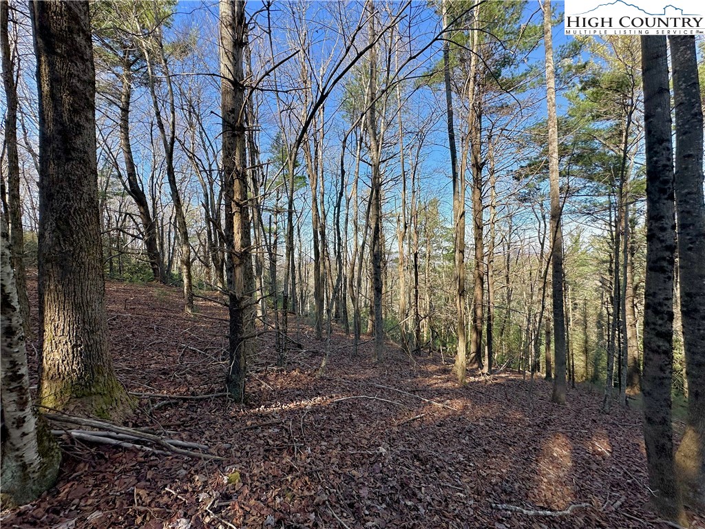 Don Hayes Road Boone, NC 28607 - Photo 19 of 26 Gallery Image 19