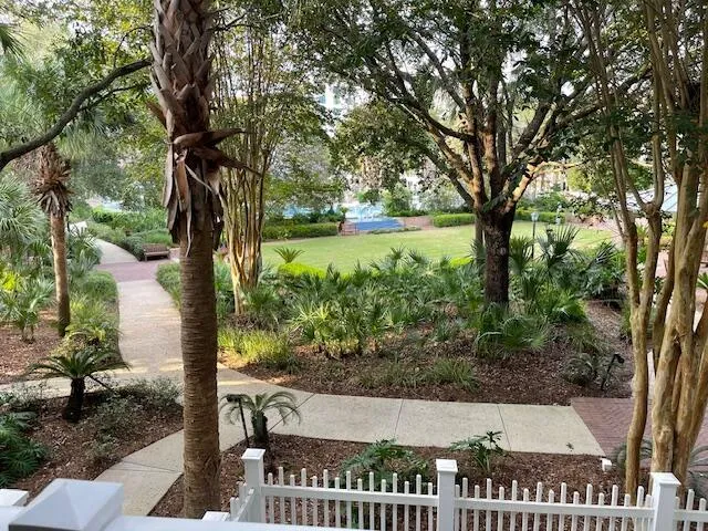 a view of a garden from a patio