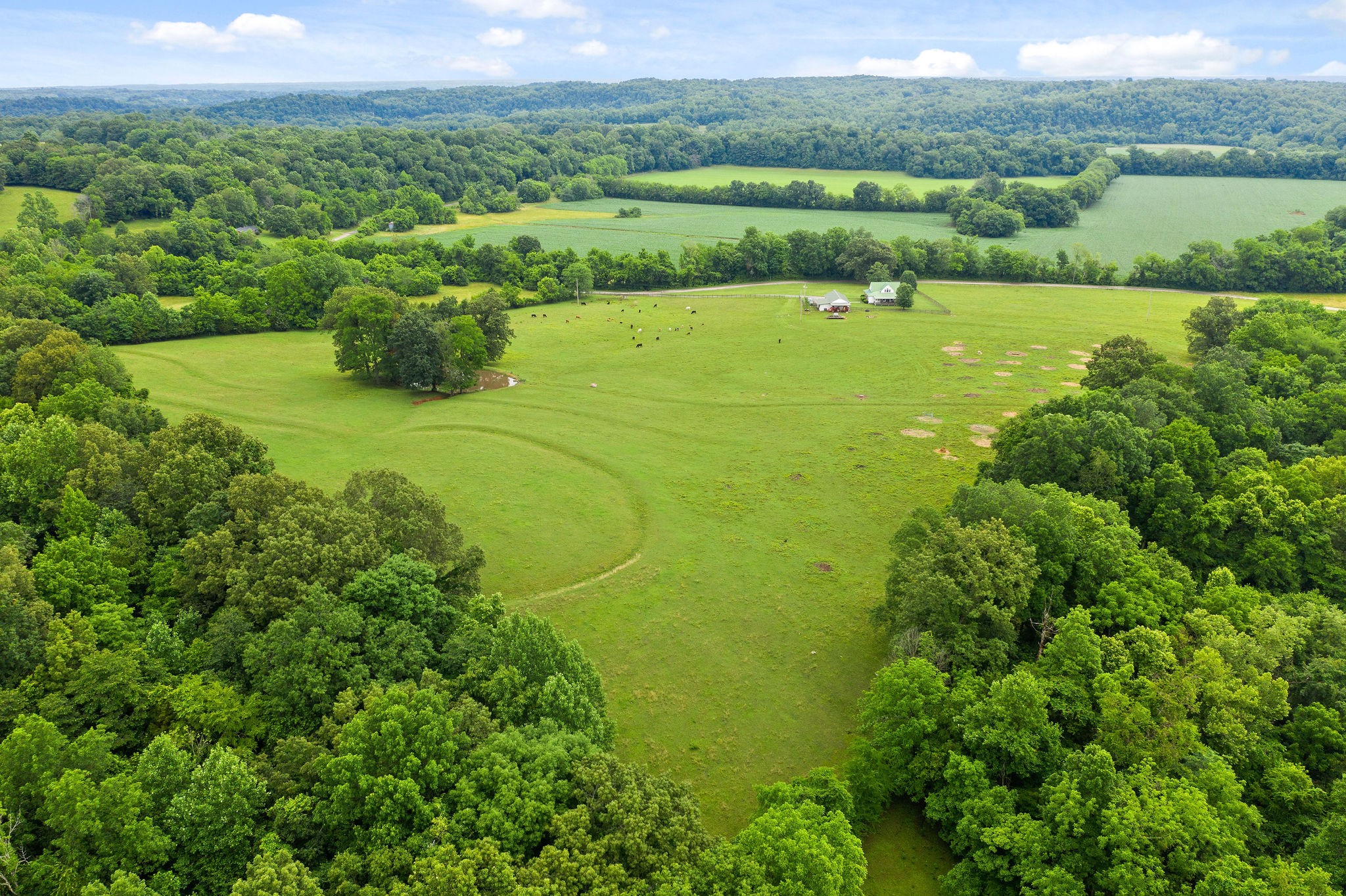 104 Ryes Chapel Road Southside, TN 37171 - Photo 12 of 15 Gallery Image 12