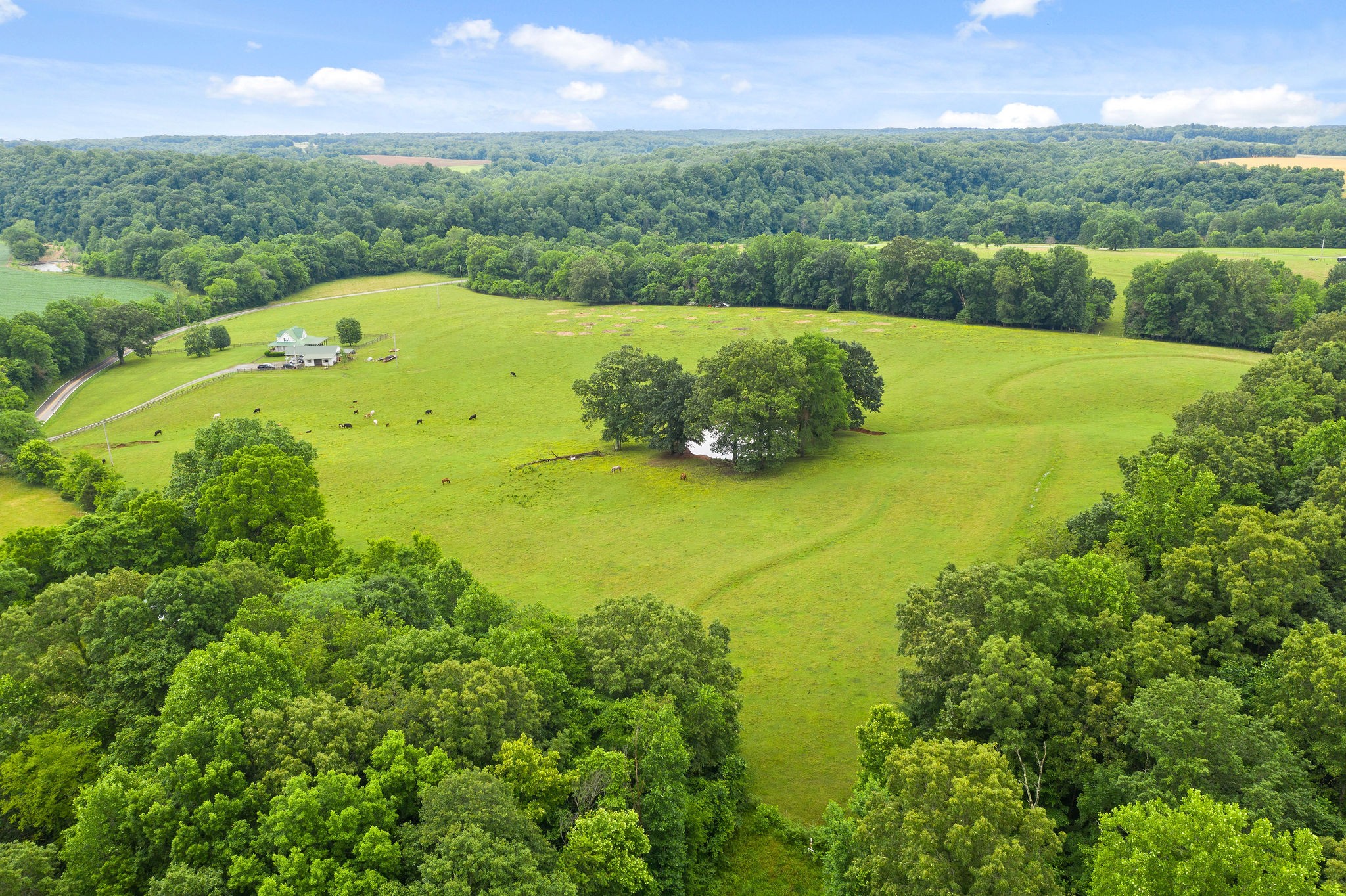 104 Ryes Chapel Road Southside, TN 37171 - Photo 13 of 15 Gallery Image 13