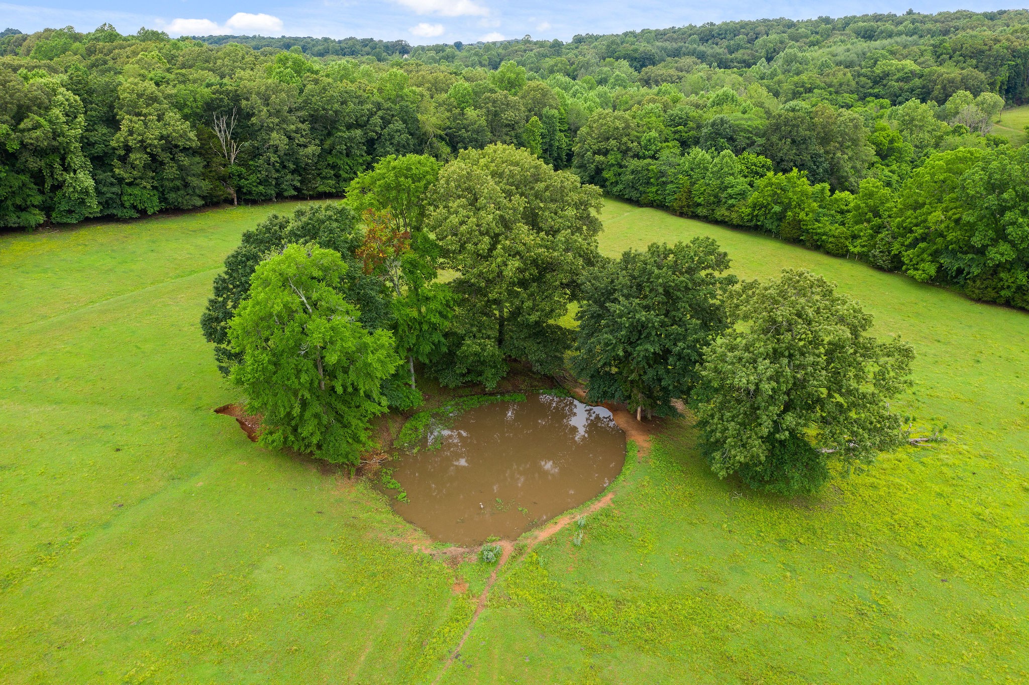 104 Ryes Chapel Road Southside, TN 37171 - Photo 14 of 15 Gallery Image 14