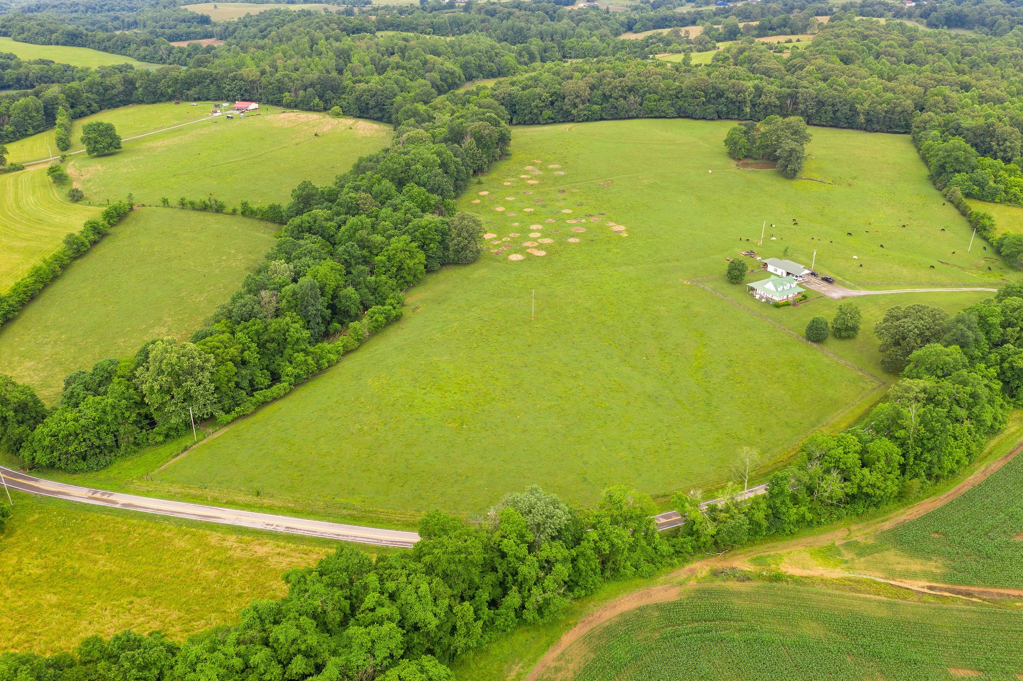 104 Ryes Chapel Road Southside, TN 37171 - Photo 3 of 15 Gallery Image 3
