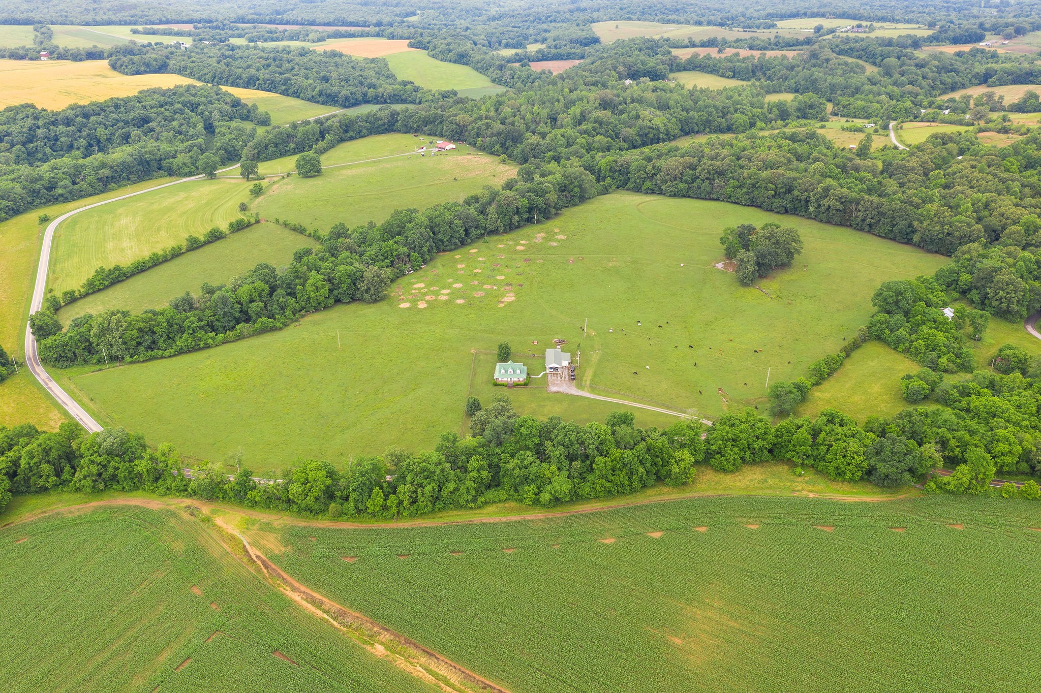 104 Ryes Chapel Road Southside, TN 37171 - Photo 4 of 15 Gallery Image 4