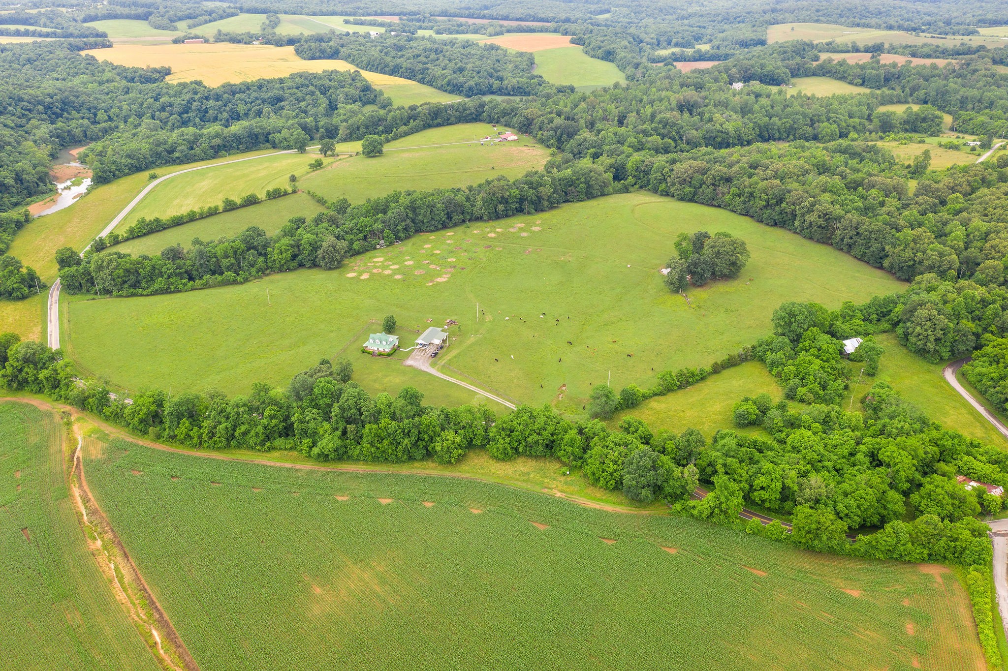104 Ryes Chapel Road Southside, TN 37171 - Photo 5 of 15 Gallery Image 5