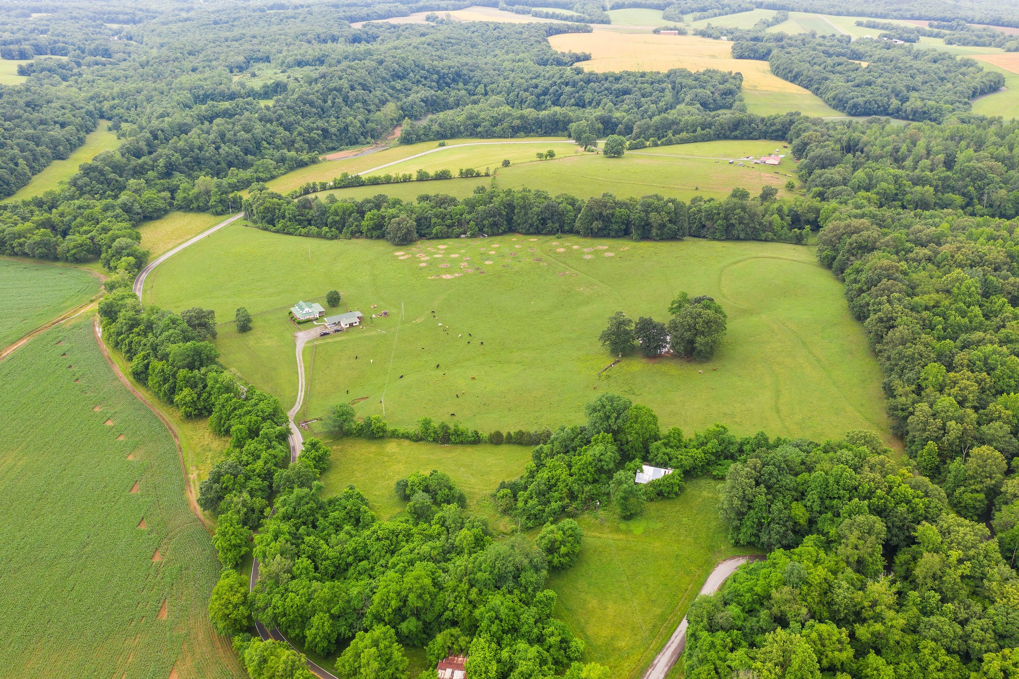 104 Ryes Chapel Road Southside, TN 37171 - Photo 6 of 15 Gallery Image 6