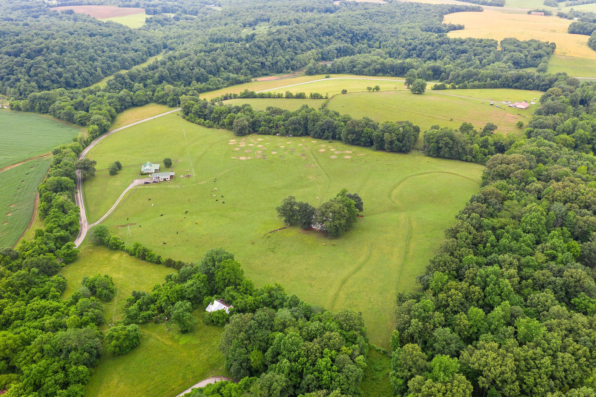 104 Ryes Chapel Road Southside, TN 37171 - Photo 7 of 15 Gallery Image 7