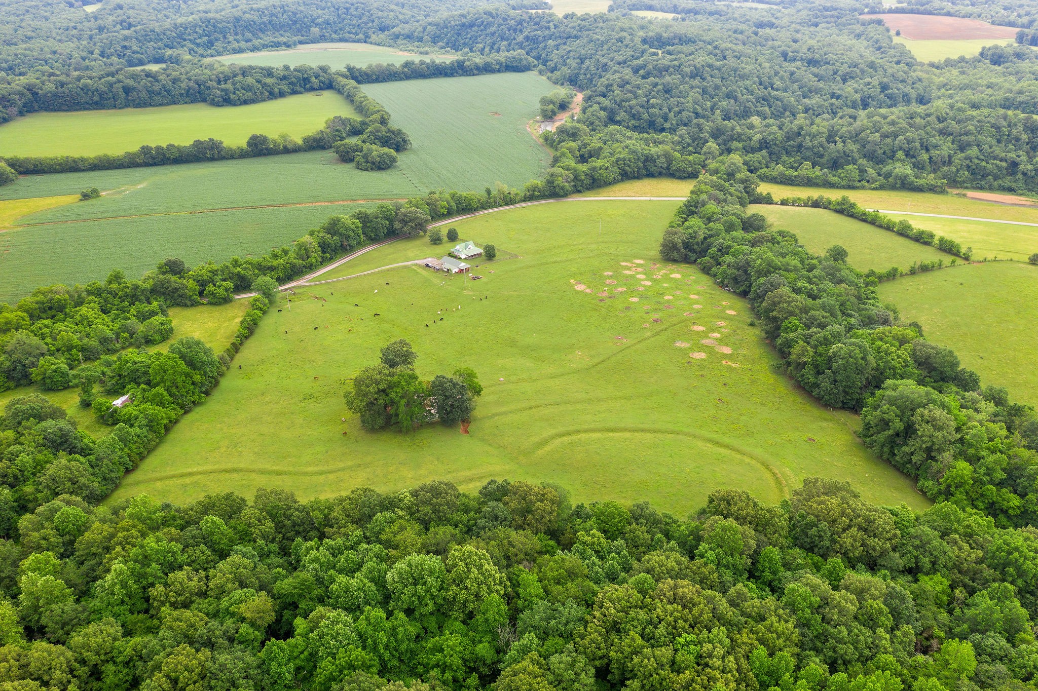 104 Ryes Chapel Road Southside, TN 37171 - Photo 8 of 15 Gallery Image 8