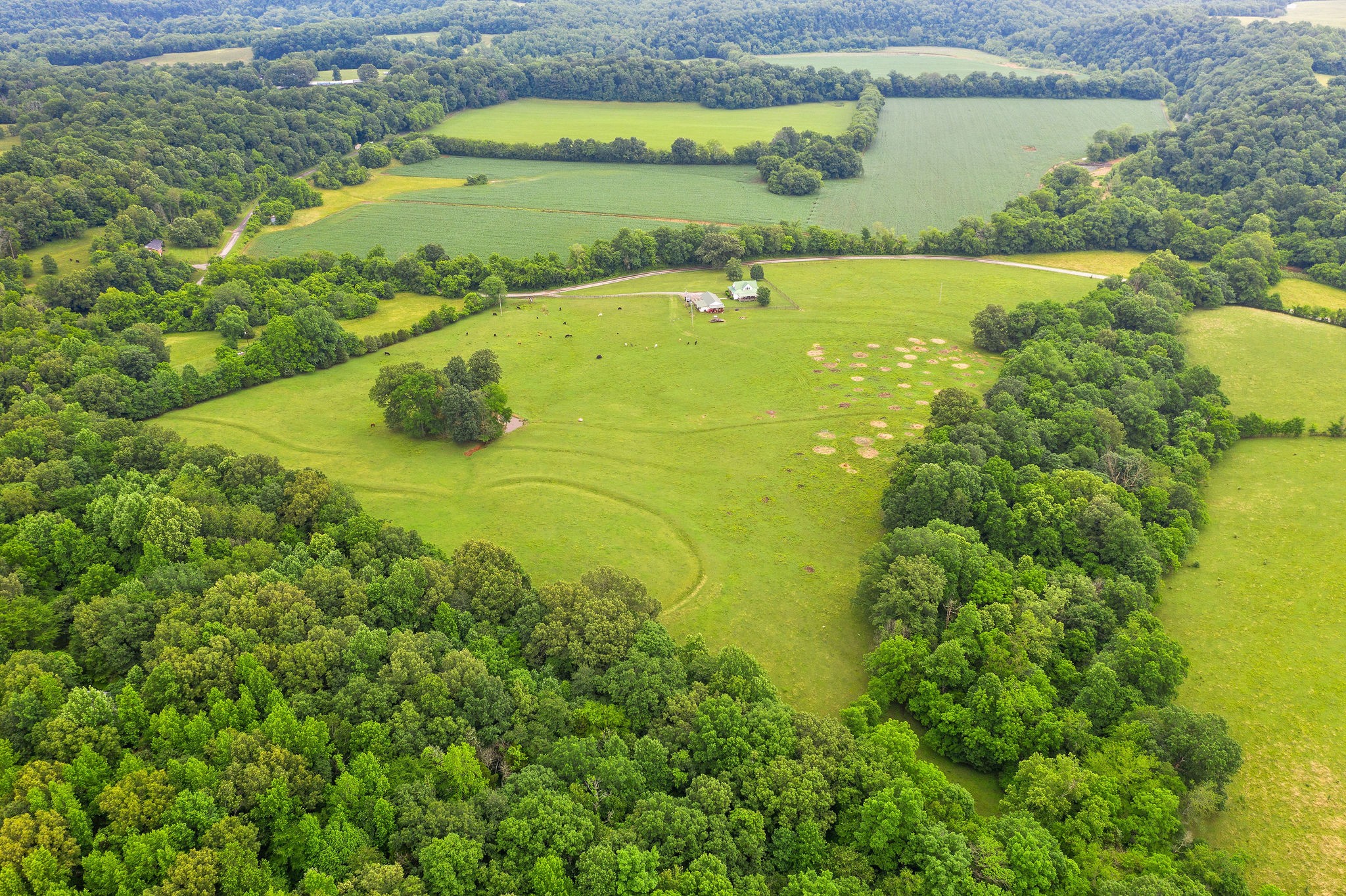 104 Ryes Chapel Road Southside, TN 37171 - Photo 9 of 15 Gallery Image 9
