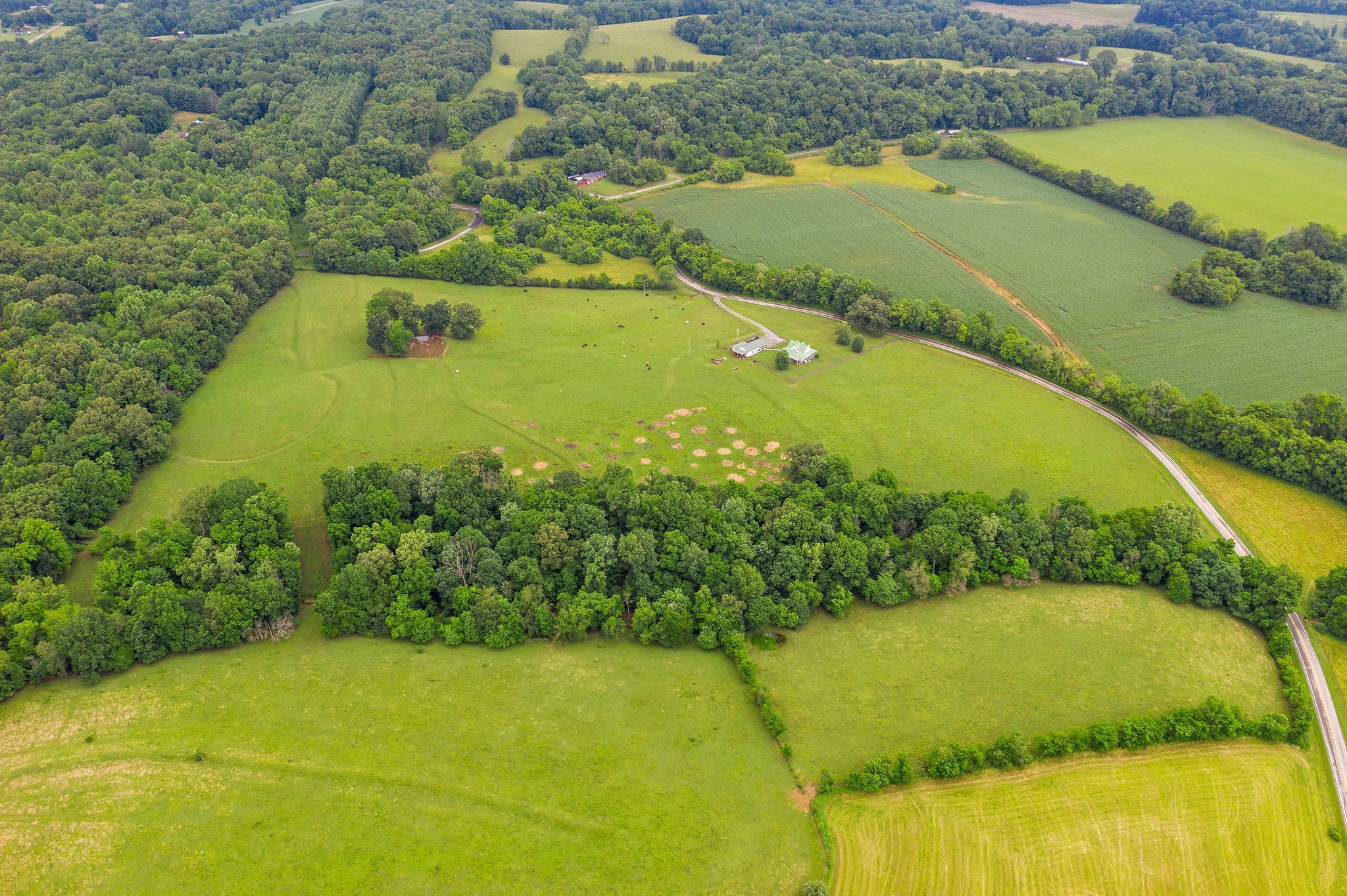 104 Ryes Chapel Road Southside, TN 37171 - Photo 10 of 15 Gallery Image 10
