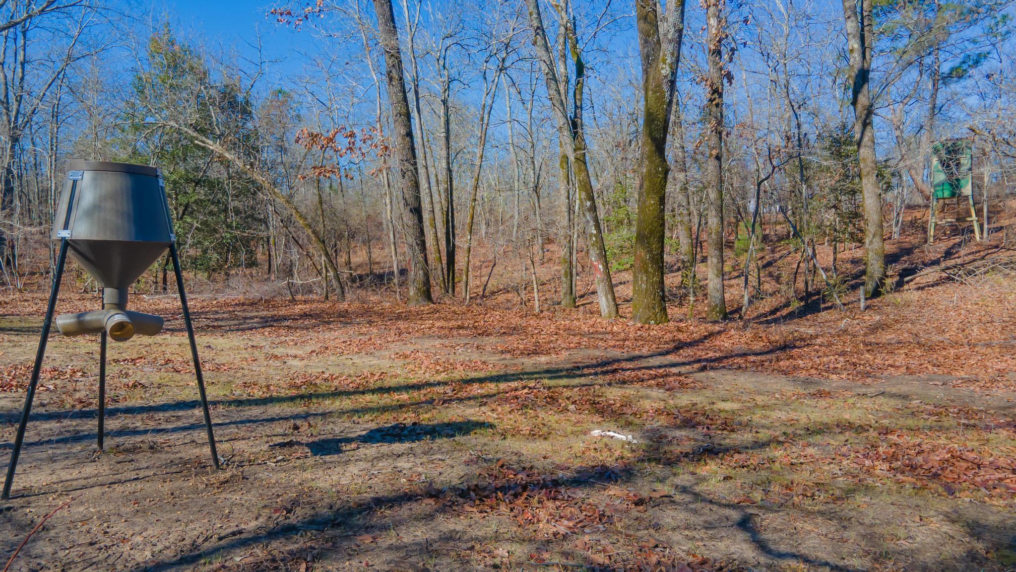 7942 Wagener Road Salley, SC 29137 - Photo 24 of 25
