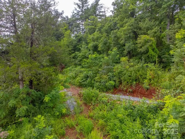 a view of a golf course with a lake