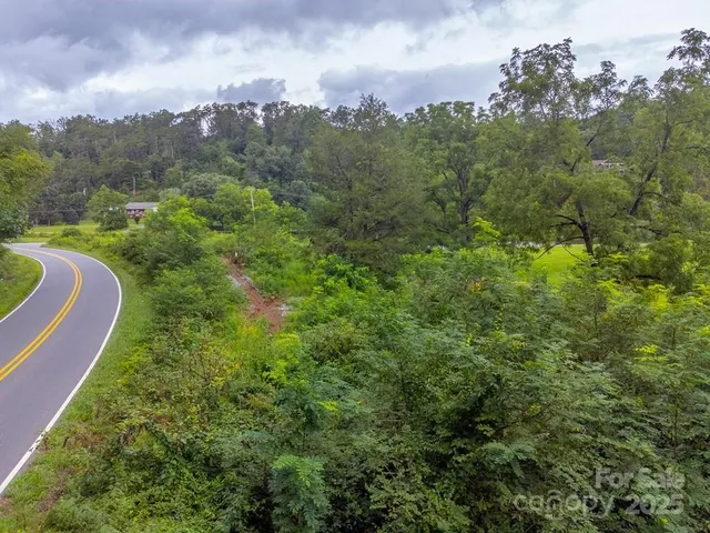 a view of a pathway both side of yard
