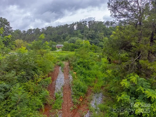 a view of a green field with lots of bushes