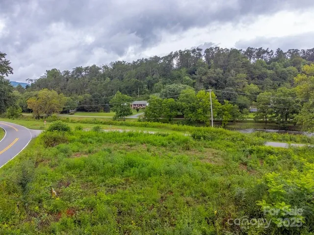 a view of a field with a tree in the background