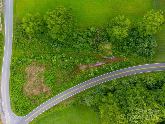 a view of a garden with large trees
