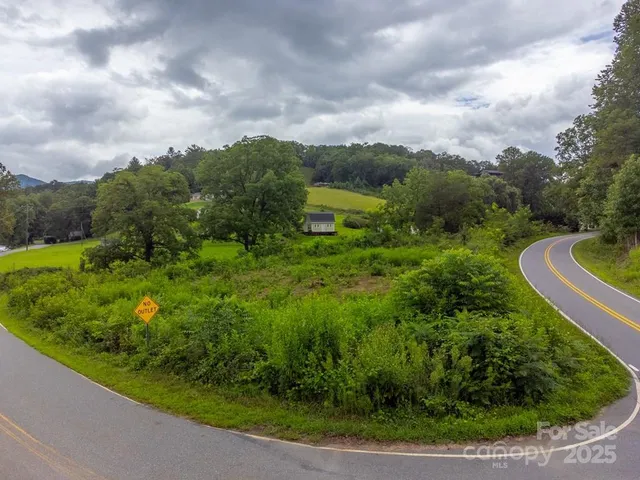 a view of a garden with trees