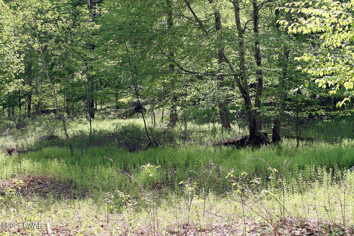 2 Robbs Road Damascus, PA 18415 - Photo 6 of 15
