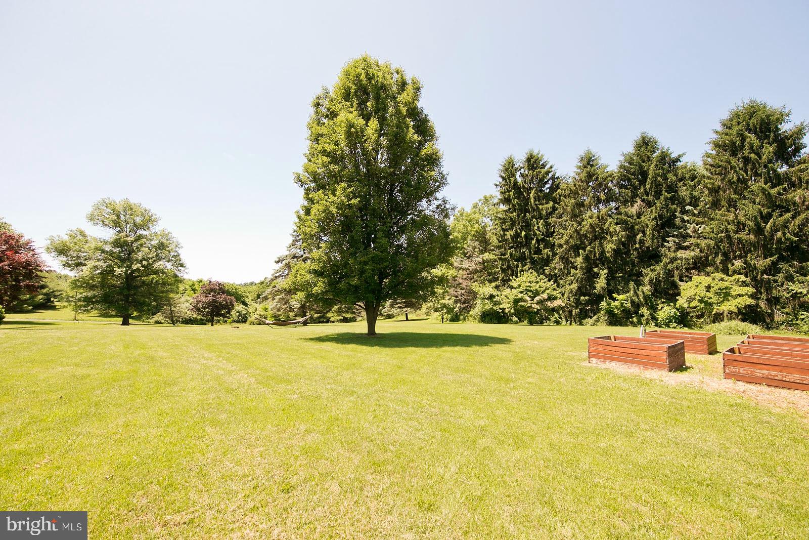 3749 Apple Pie Ridge Road Winchester, VA 22603 - Photo 54 of 60 Rear yard shows raised areas for gardens