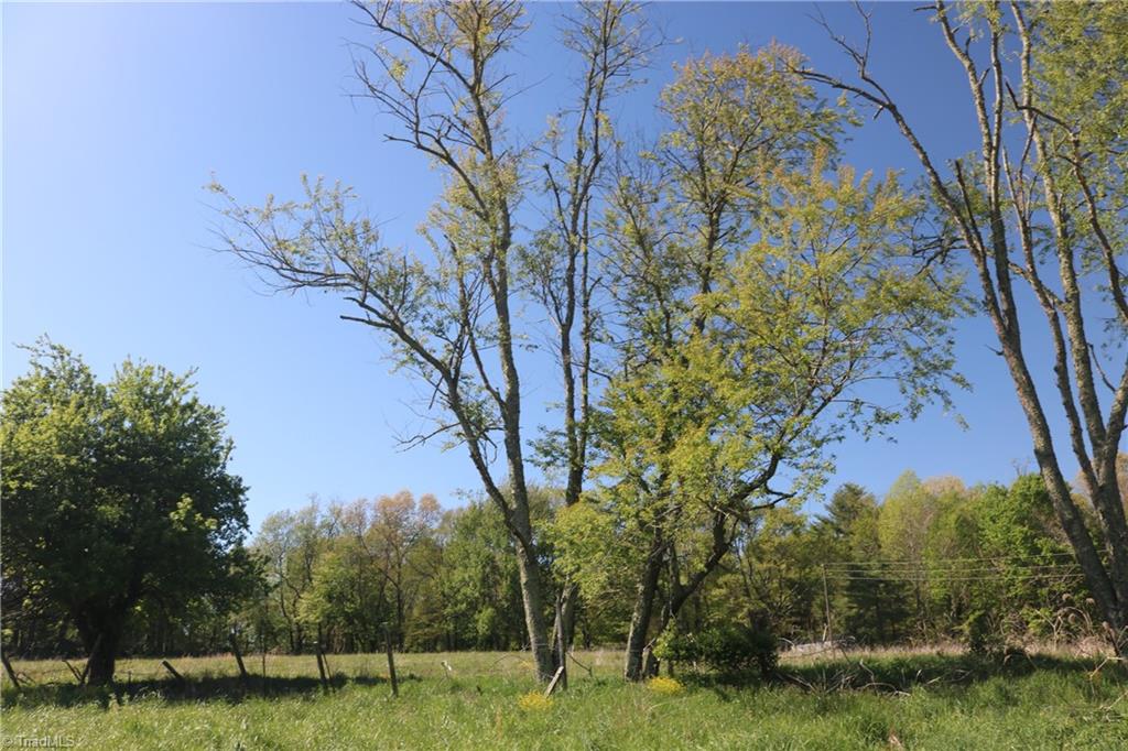 227 Reece Road Southwest Willis, VA 24380 - Photo 14 of 27
