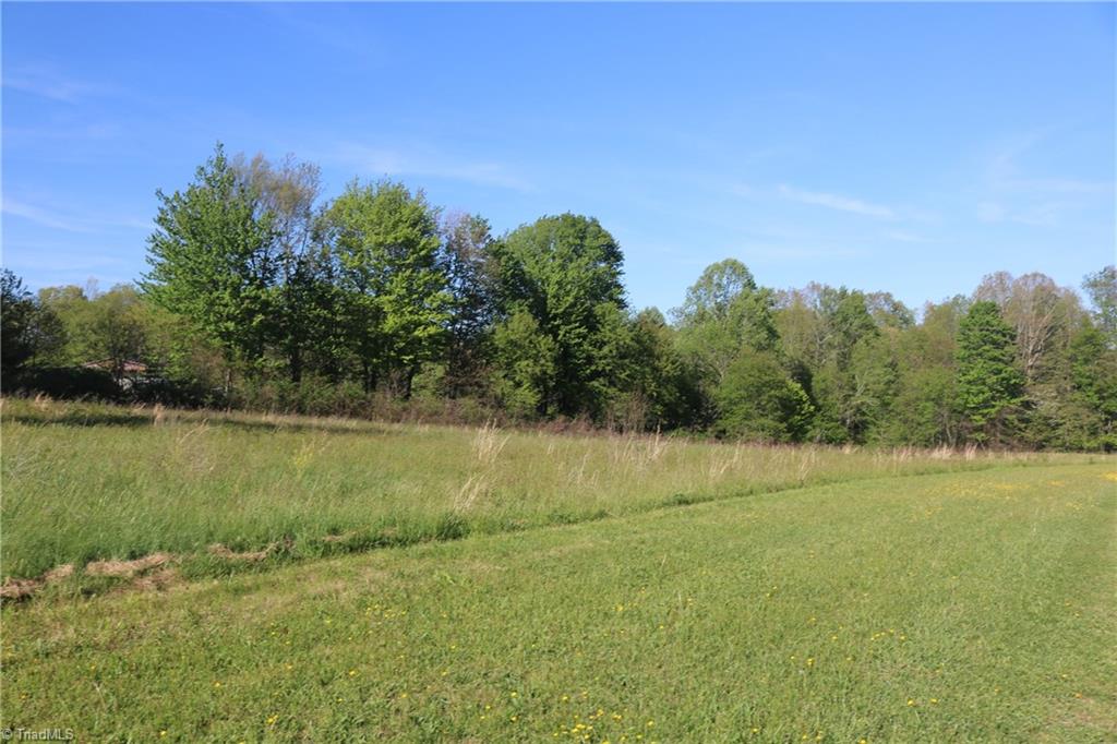 227 Reece Road Southwest Willis, VA 24380 - Photo 3 of 27