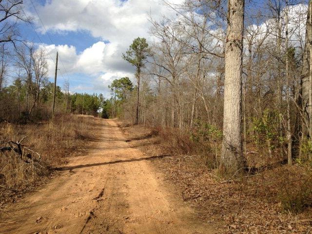 385 Bluffwood Road Wagener, SC 29164 - Photo 9 of 11