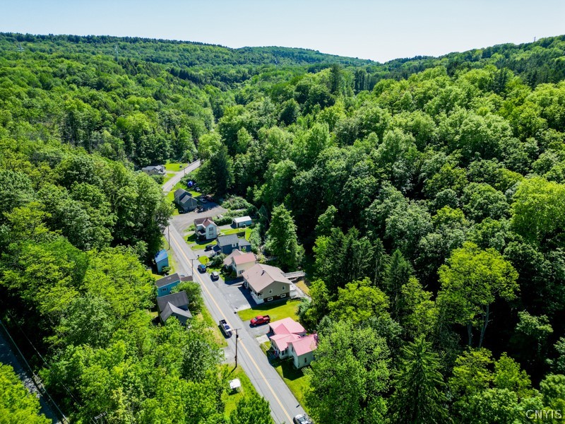 601 Spinnerville Gulf Road North German Flatts, NY 13357 - Photo 9 of 49