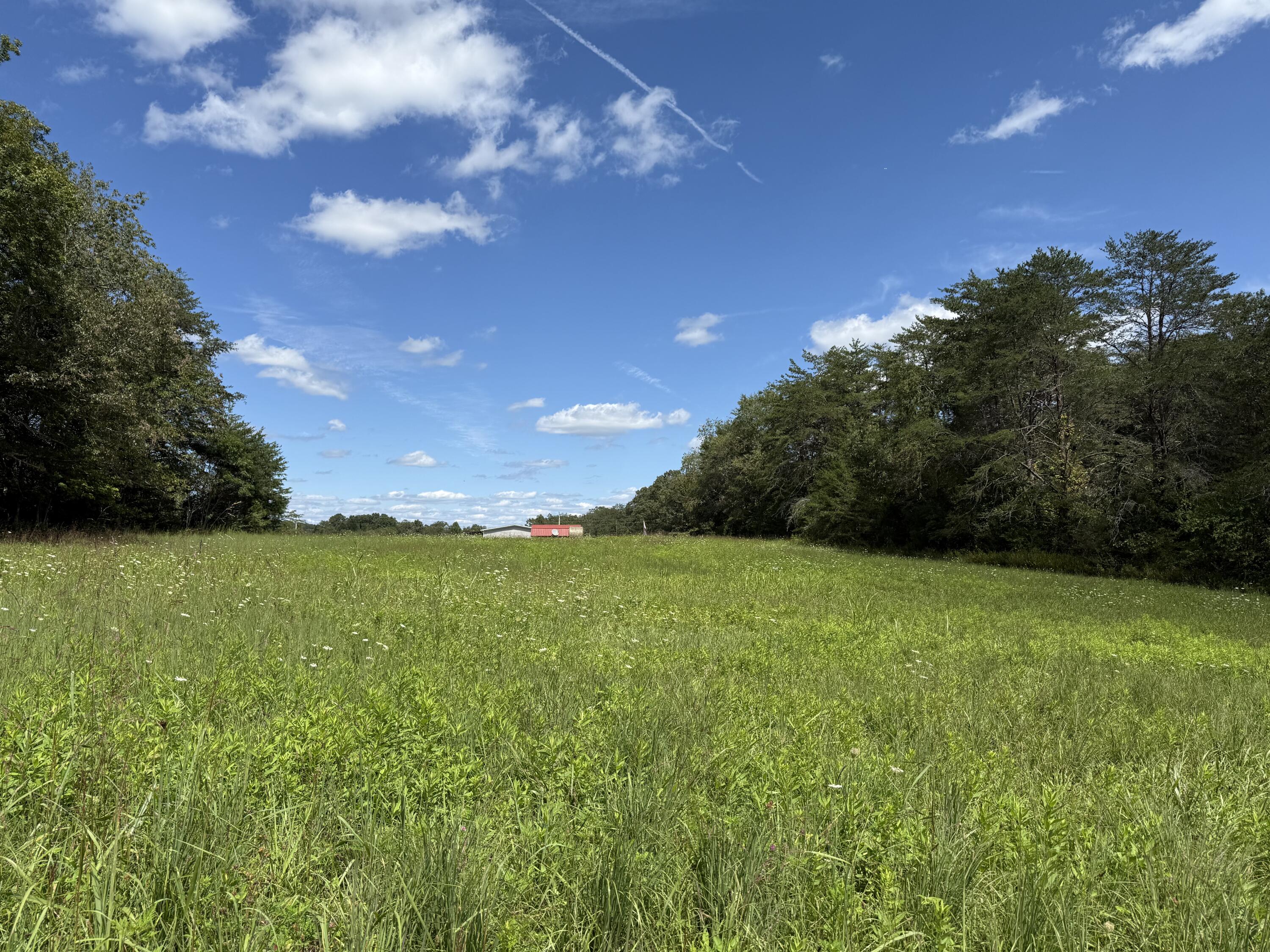 11 Newton Road Crossville, TN 38572 - Photo 2 of 7 IMG_6796