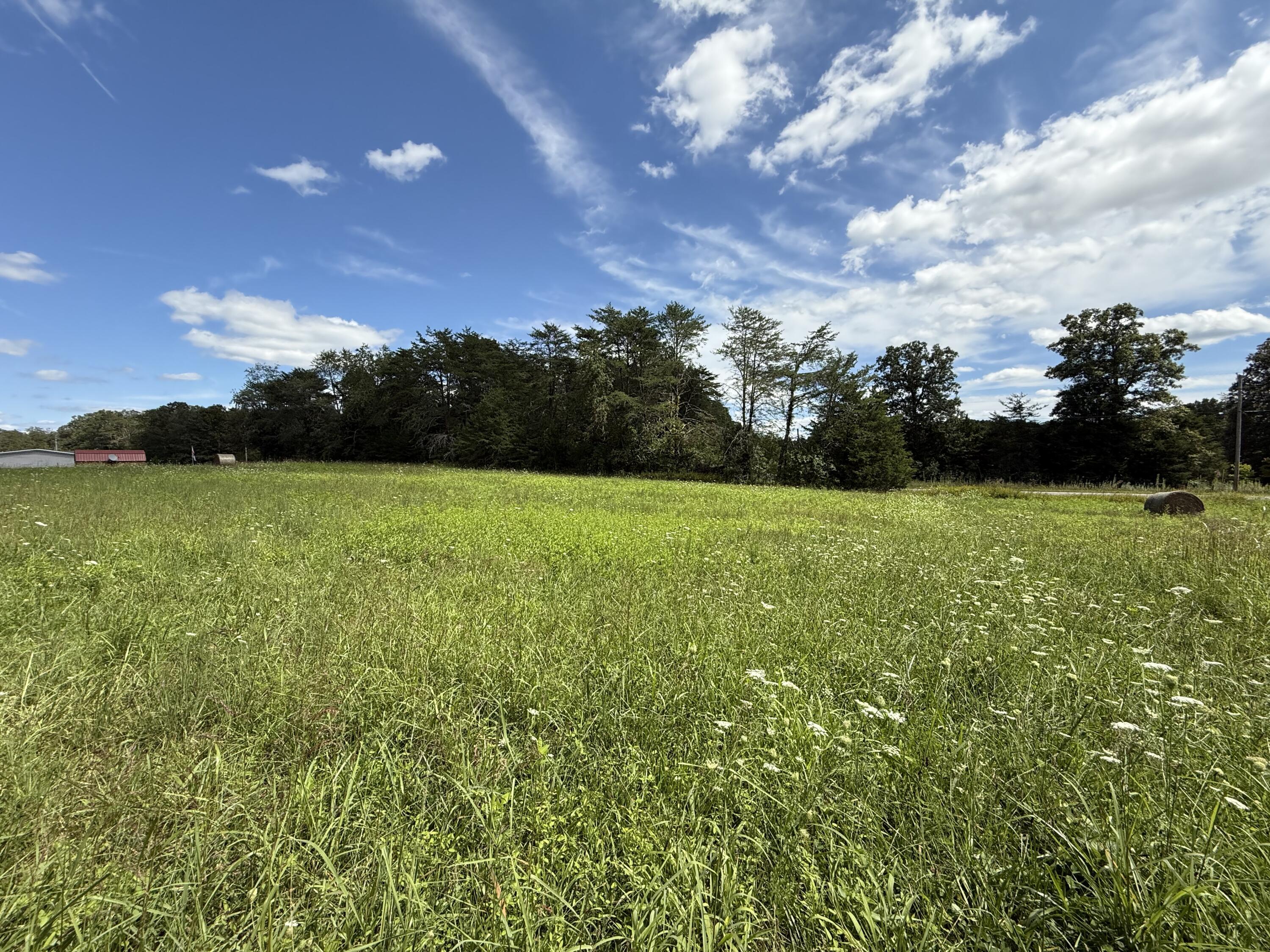 11 Newton Road Crossville, TN 38572 - Photo 3 of 7 IMG_6795