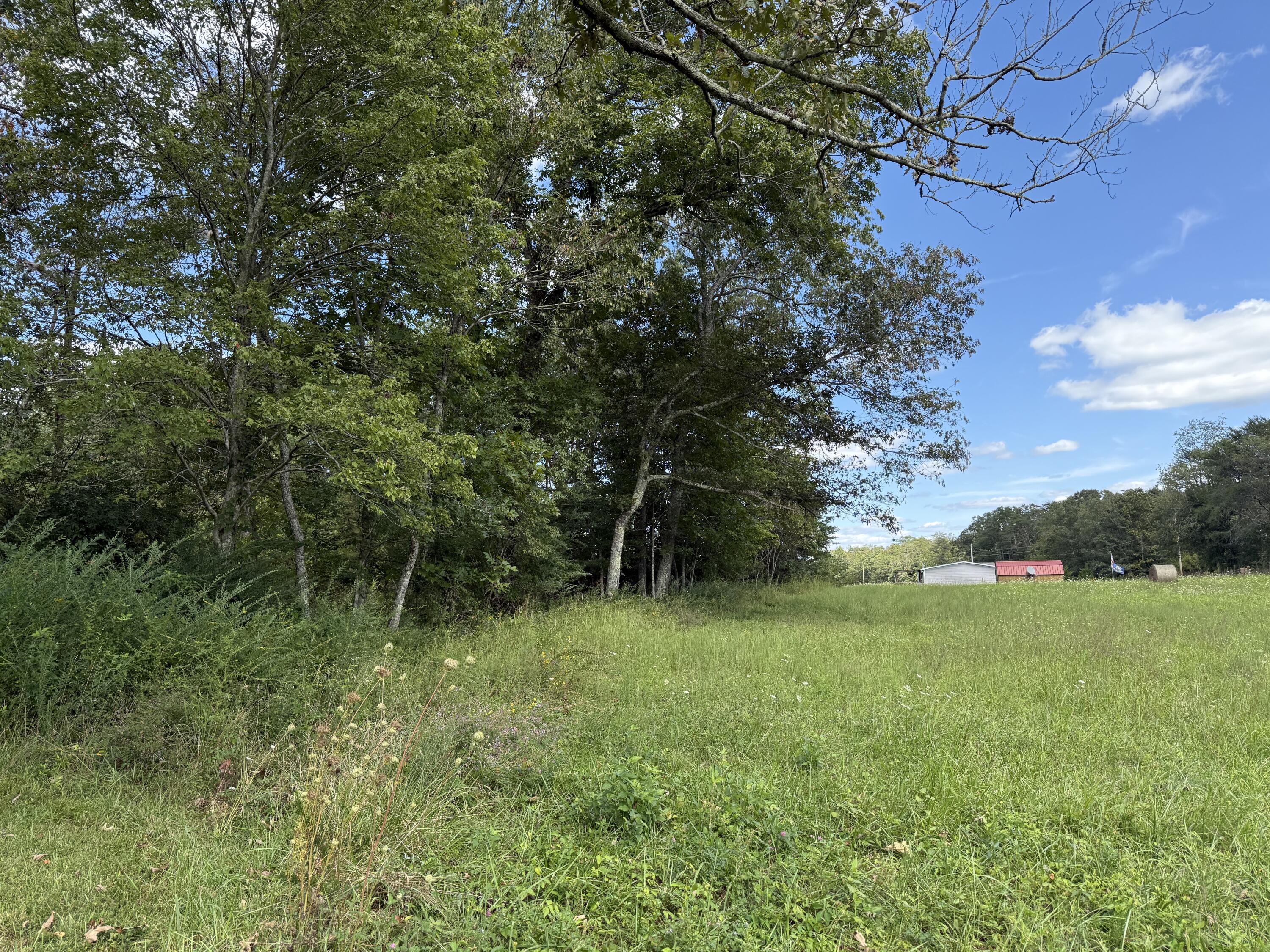 11 Newton Road Crossville, TN 38572 - Photo 5 of 7 IMG_6792