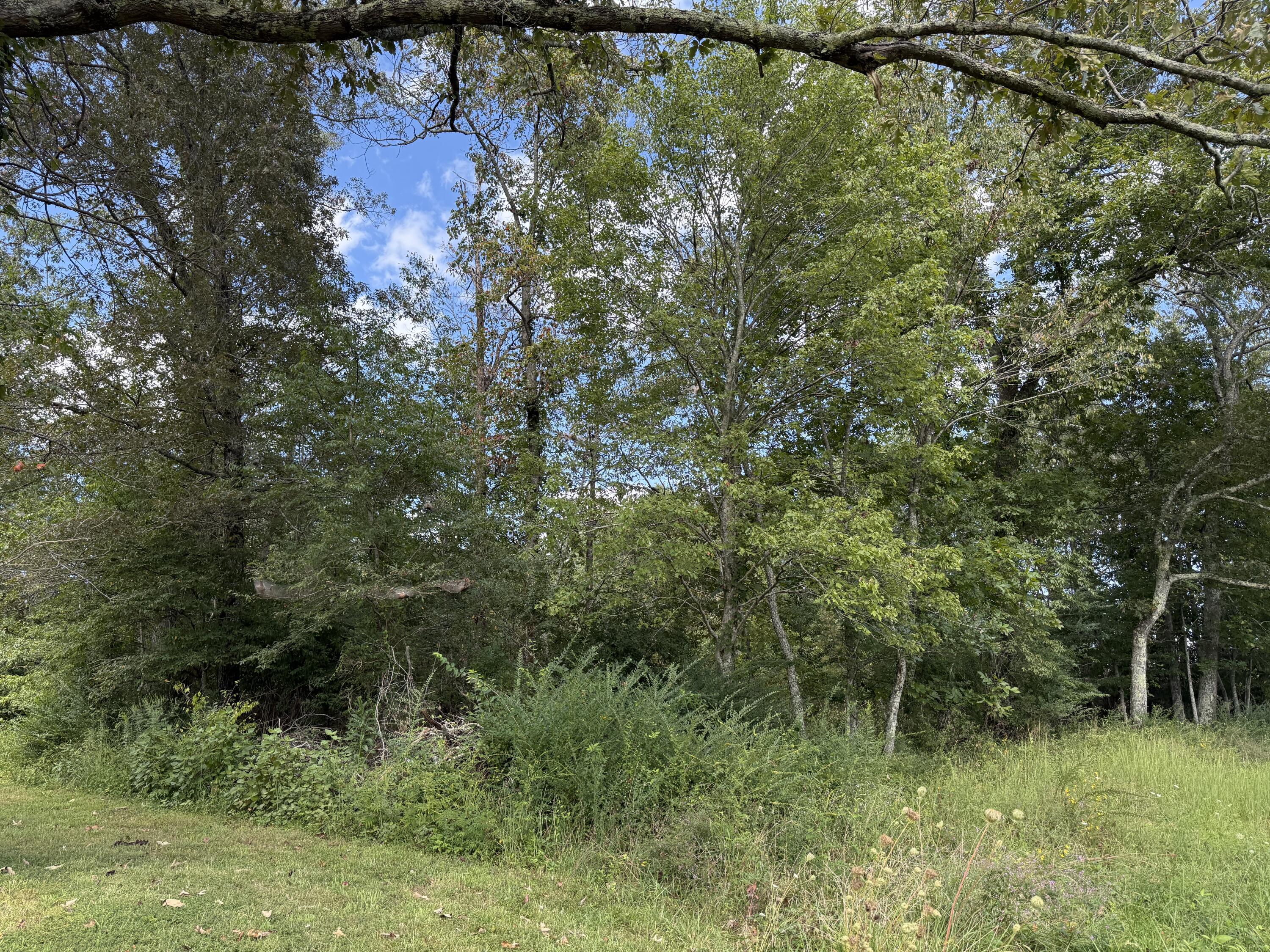 11 Newton Road Crossville, TN 38572 - Photo 6 of 7 IMG_6793