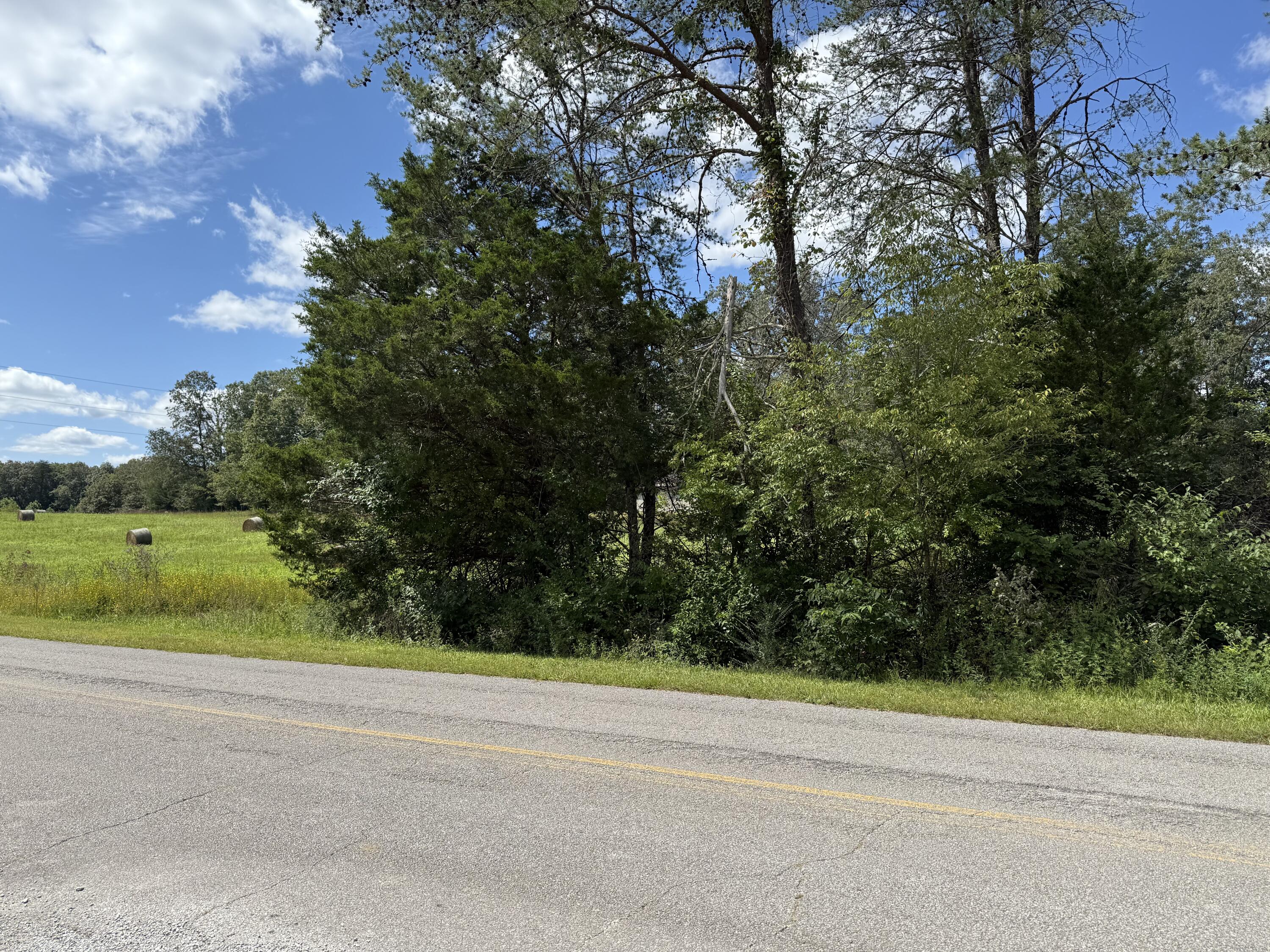 11 Newton Road Crossville, TN 38572 - Photo 7 of 7 IMG_6786