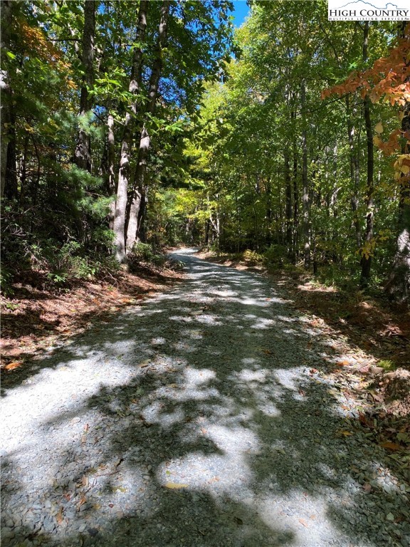 Tba Penley Road Boone, NC 28607 - Photo 13 of 27 Gallery Image 13