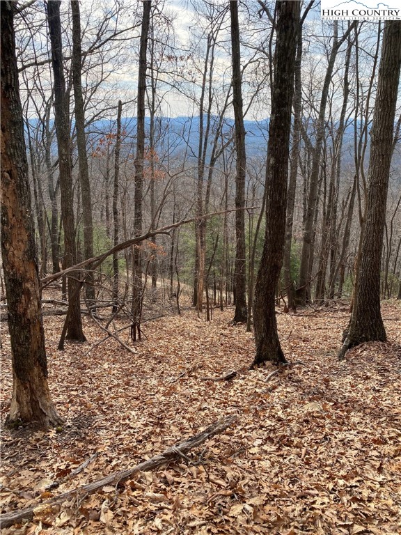 Tba Penley Road Boone, NC 28607 - Photo 8 of 27 Gallery Image 8