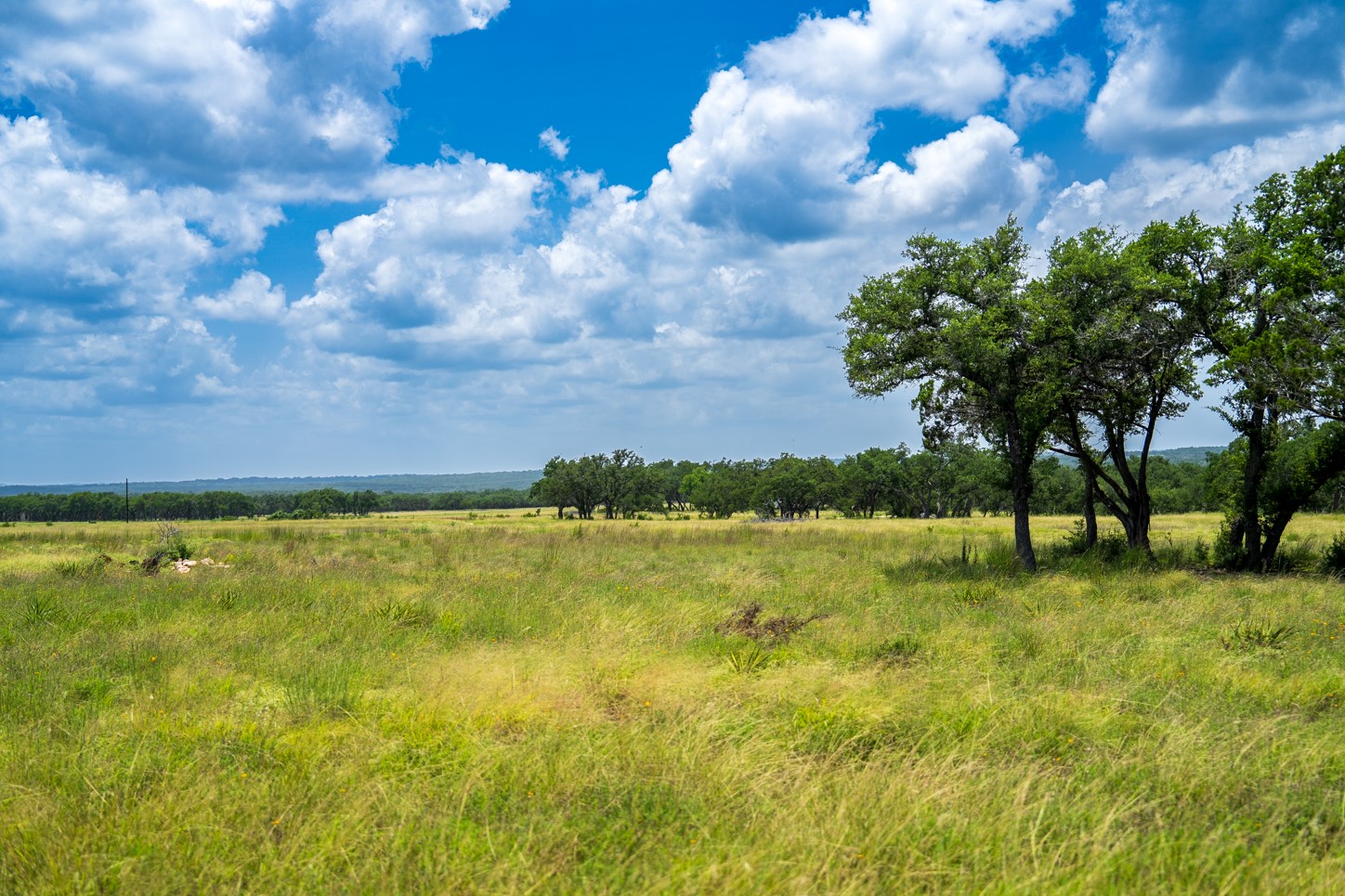 3979 Chimney Valley Road Blanco, TX 78606 - Photo 27 of 34 a view of an outdoor space and yard