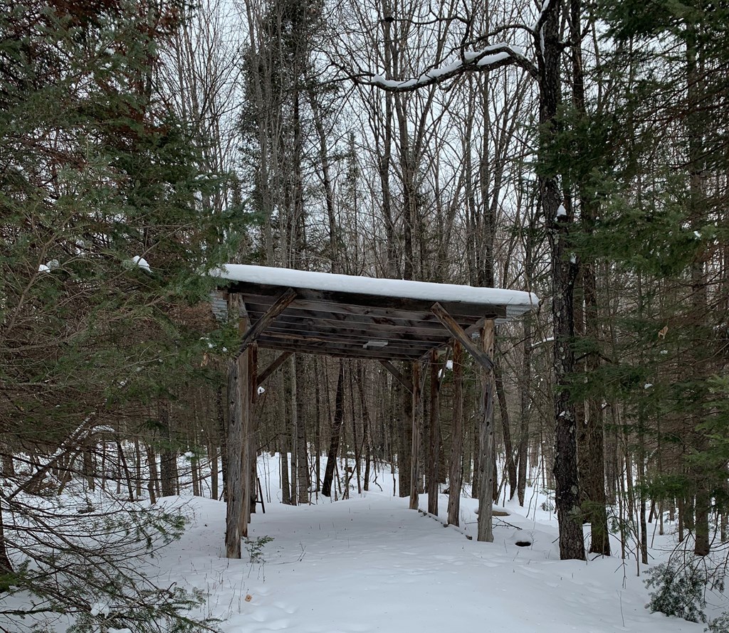 0 Other Butternut, WI 54514 - Photo 8 of 21