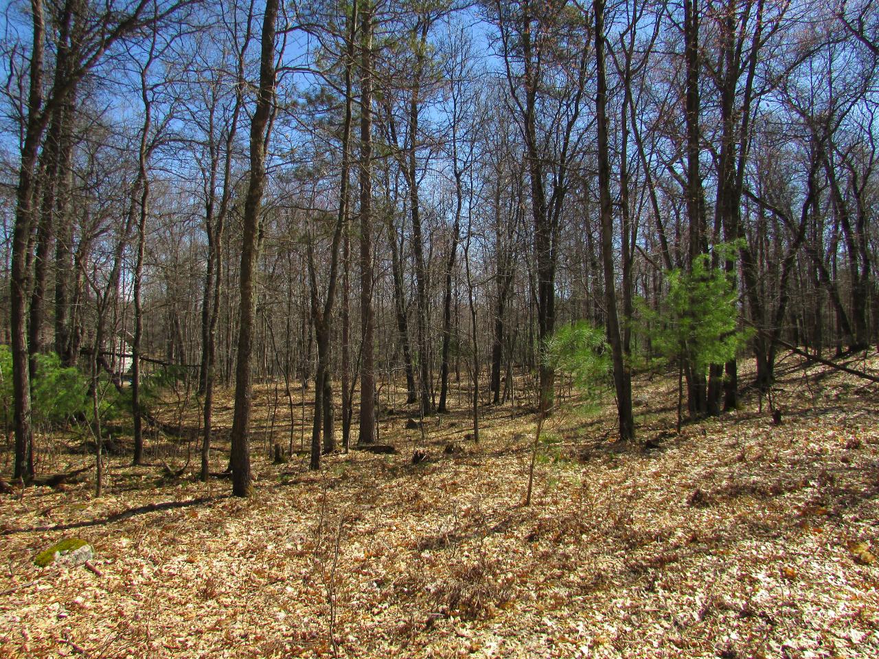 4386 Rosalie Lane Rhinelander, WI 54501 - Photo 25 of 29 Gallery Image 25