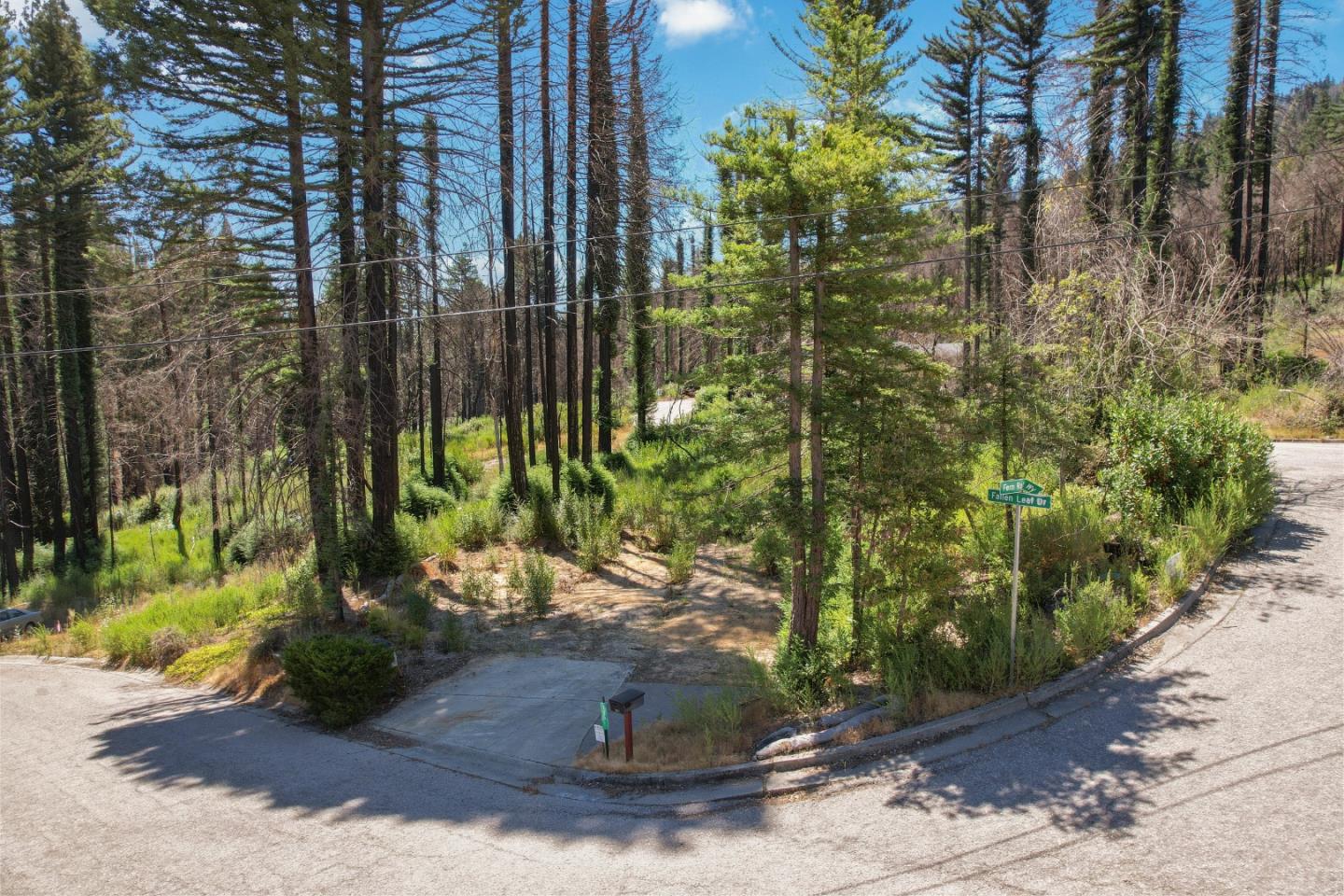a view of a street with potted plants