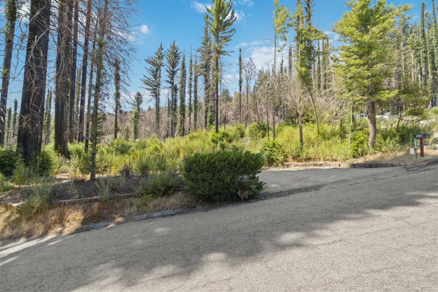 135 Fallen Leaf Drive Boulder Creek, CA 95006 - Photo 11 of 28 a view of a street with a building in the background