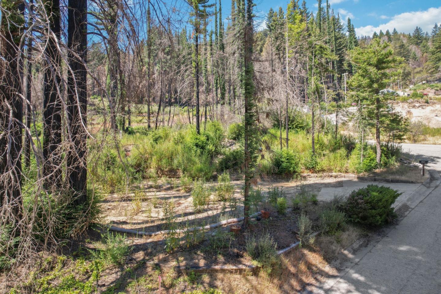 135 Fallen Leaf Drive Boulder Creek, CA 95006 - Photo 14 of 28 a view of outdoor space and yard