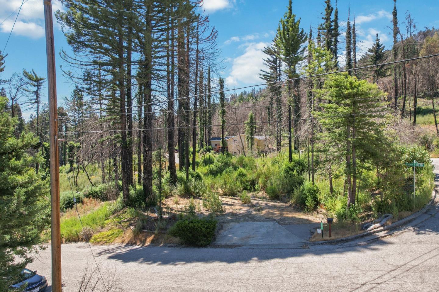 135 Fallen Leaf Drive Boulder Creek, CA 95006 - Photo 15 of 28 a view of a garden with plants