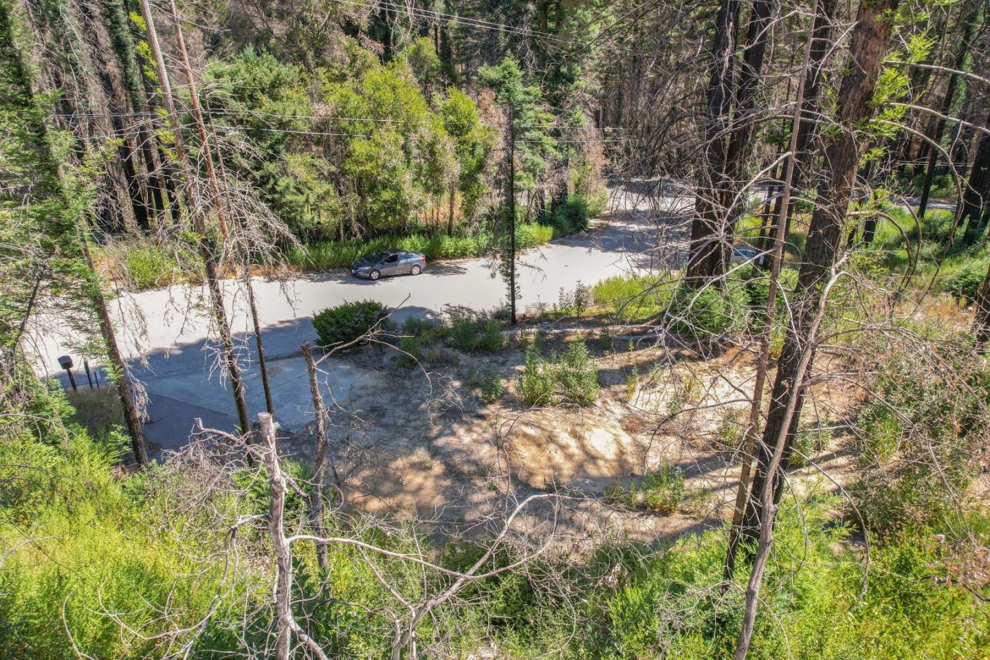 135 Fallen Leaf Drive Boulder Creek, CA 95006 - Photo 17 of 28 a view of yard with tree
