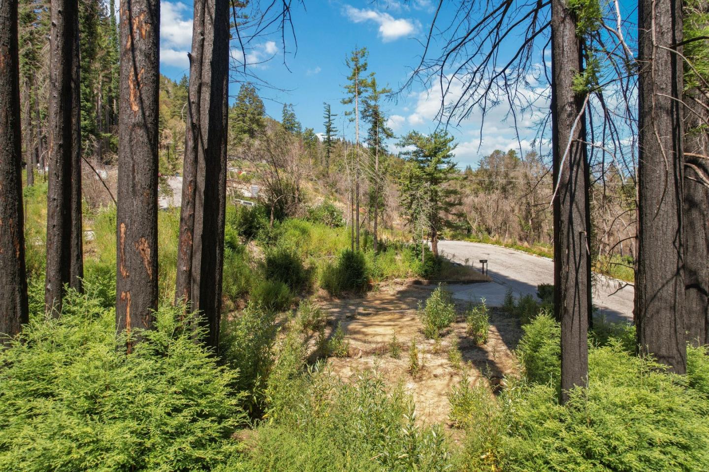 135 Fallen Leaf Drive Boulder Creek, CA 95006 - Photo 19 of 28
