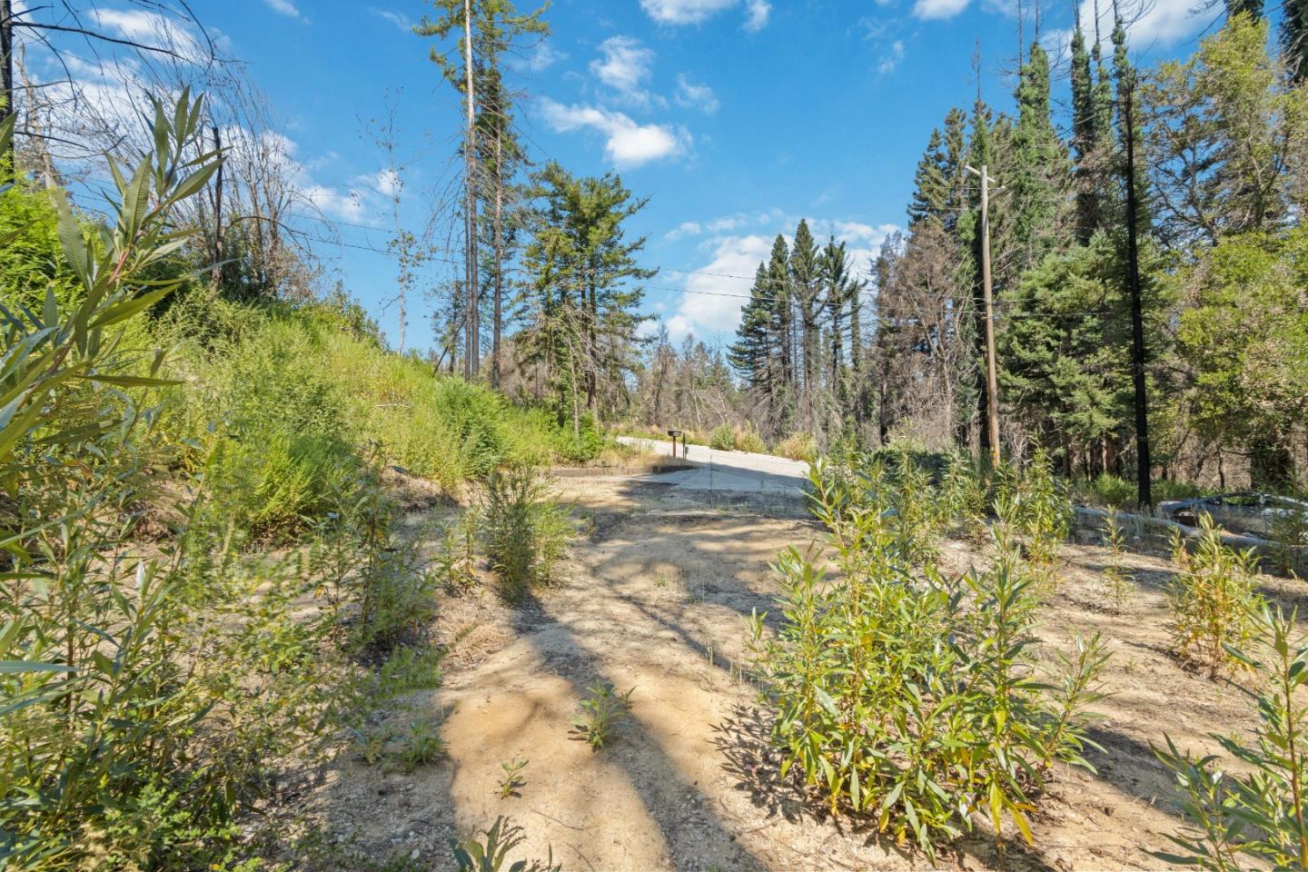 135 Fallen Leaf Drive Boulder Creek, CA 95006 - Photo 21 of 28 a view of yard with green space