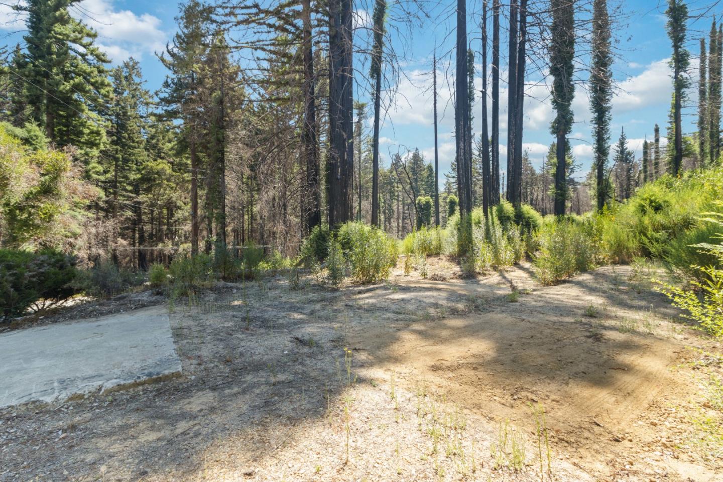 135 Fallen Leaf Drive Boulder Creek, CA 95006 - Photo 23 of 28 a view of outdoor space with street view