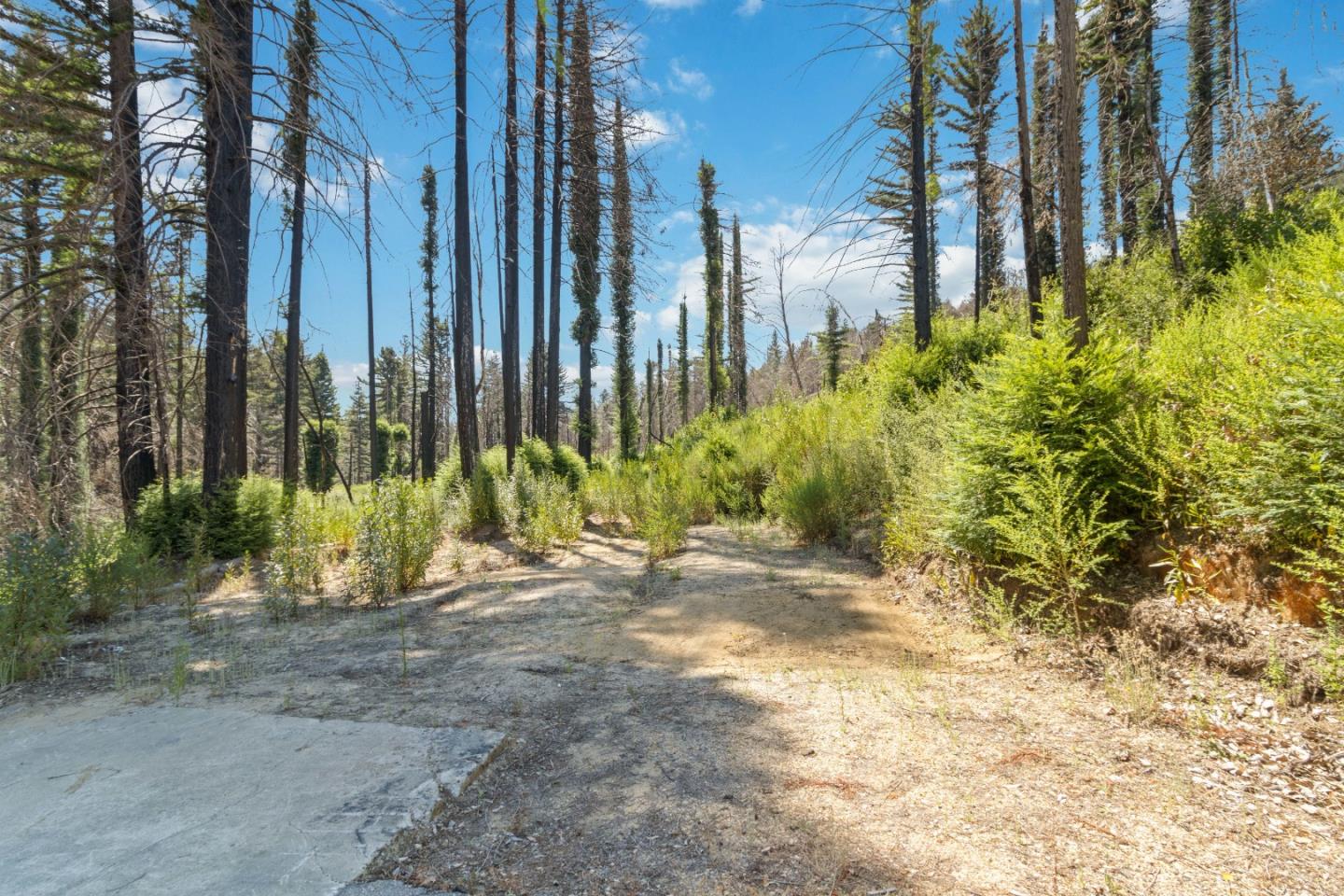 135 Fallen Leaf Drive Boulder Creek, CA 95006 - Photo 24 of 28 a view of a street with a building in the background