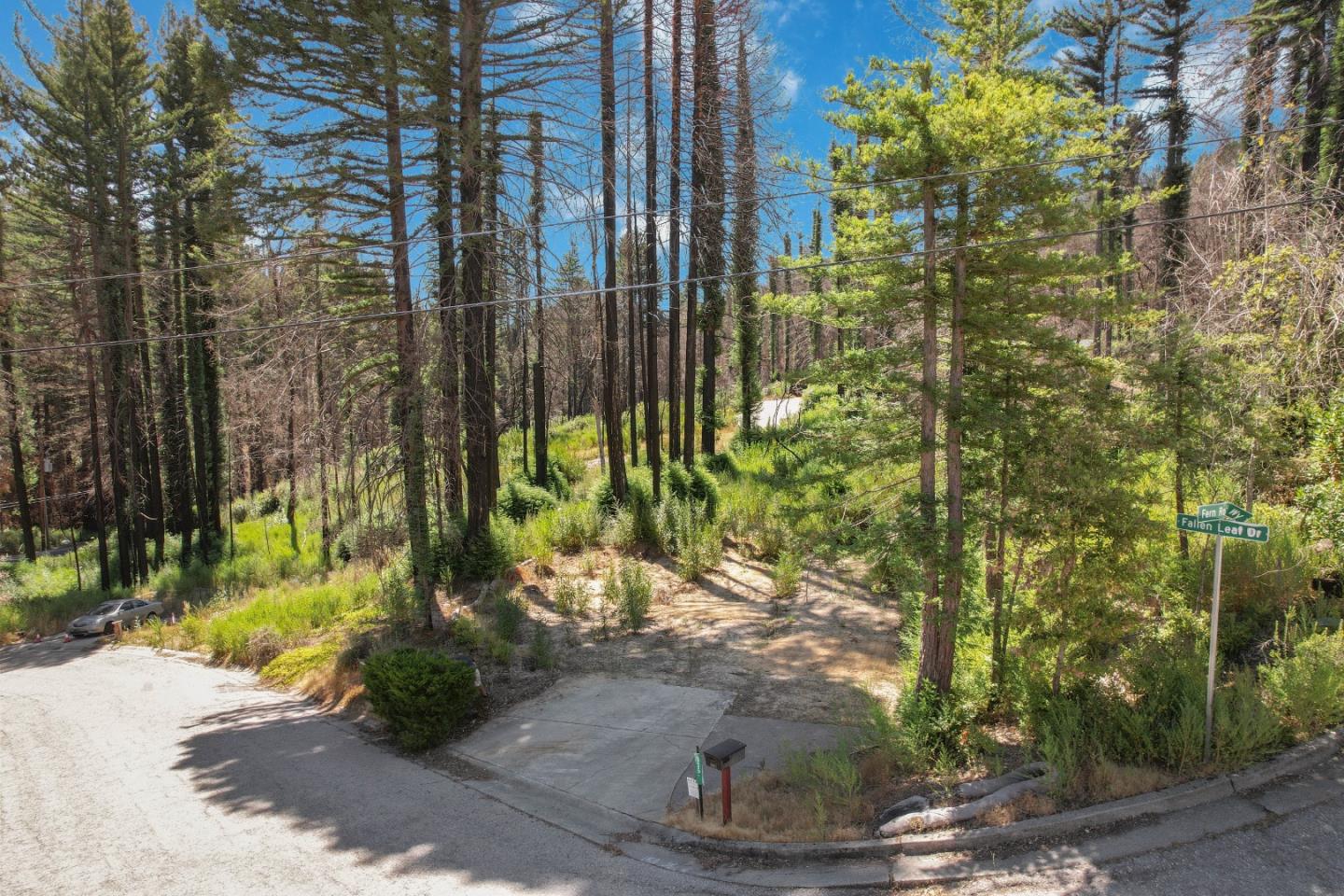 135 Fallen Leaf Drive Boulder Creek, CA 95006 - Photo 26 of 28 a view of a yard with plants and brick wall