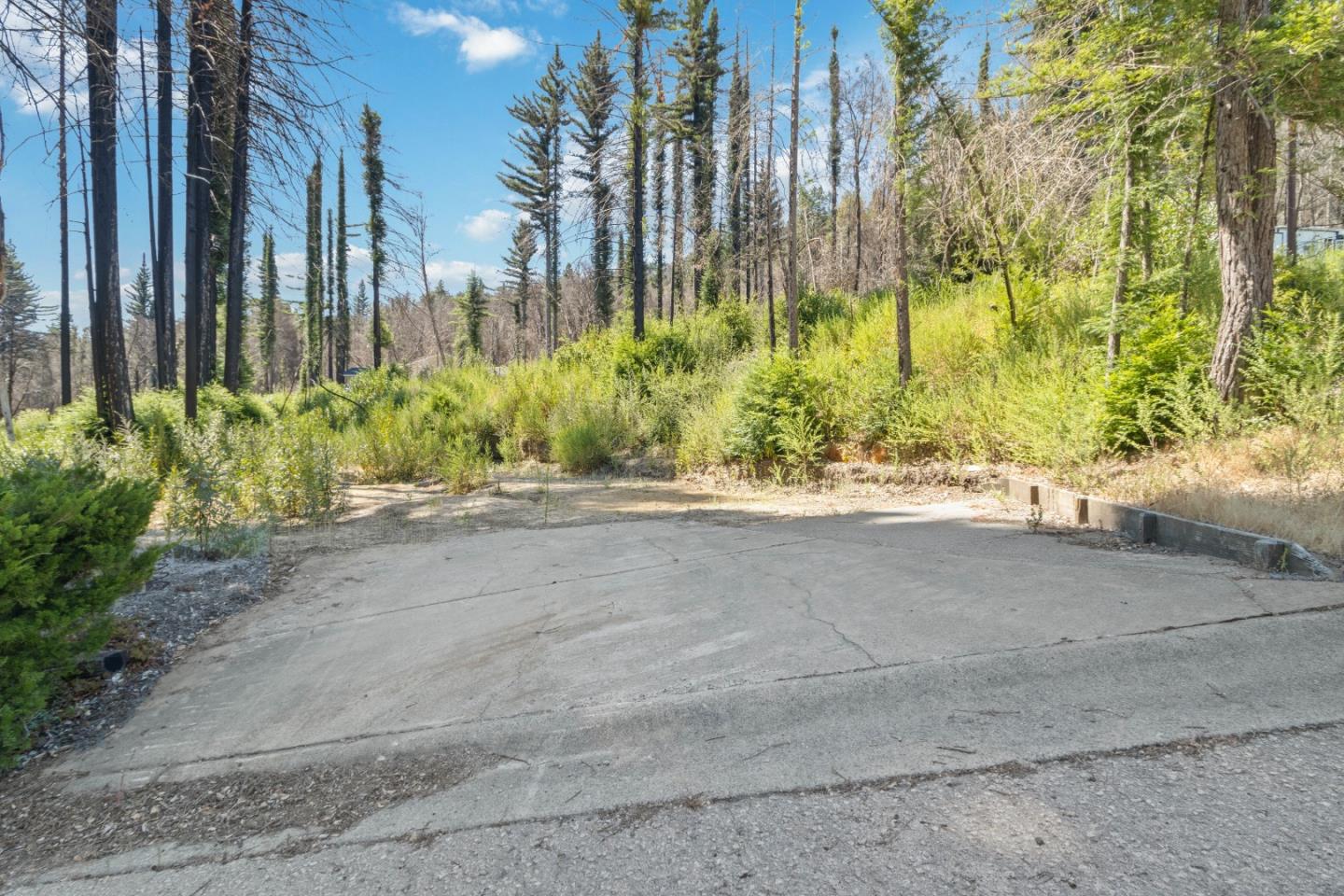 135 Fallen Leaf Drive Boulder Creek, CA 95006 - Photo 27 of 28 a view of a garden