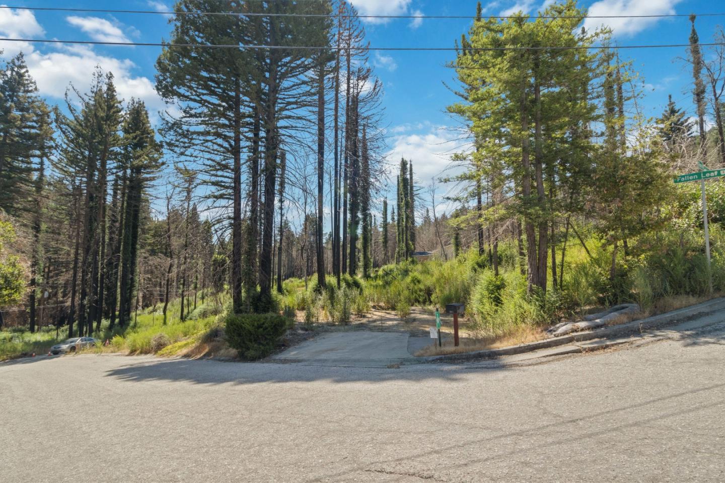 135 Fallen Leaf Drive Boulder Creek, CA 95006 - Photo 10 of 28 a view of a street with tall trees
