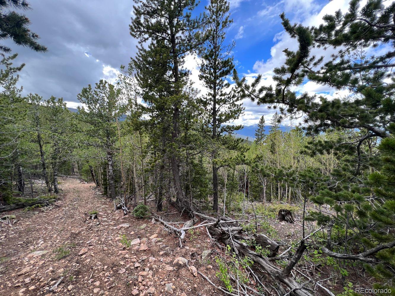 0 Hidden Wilderness Road Evergreen, CO 80439 - Photo 22 of 29